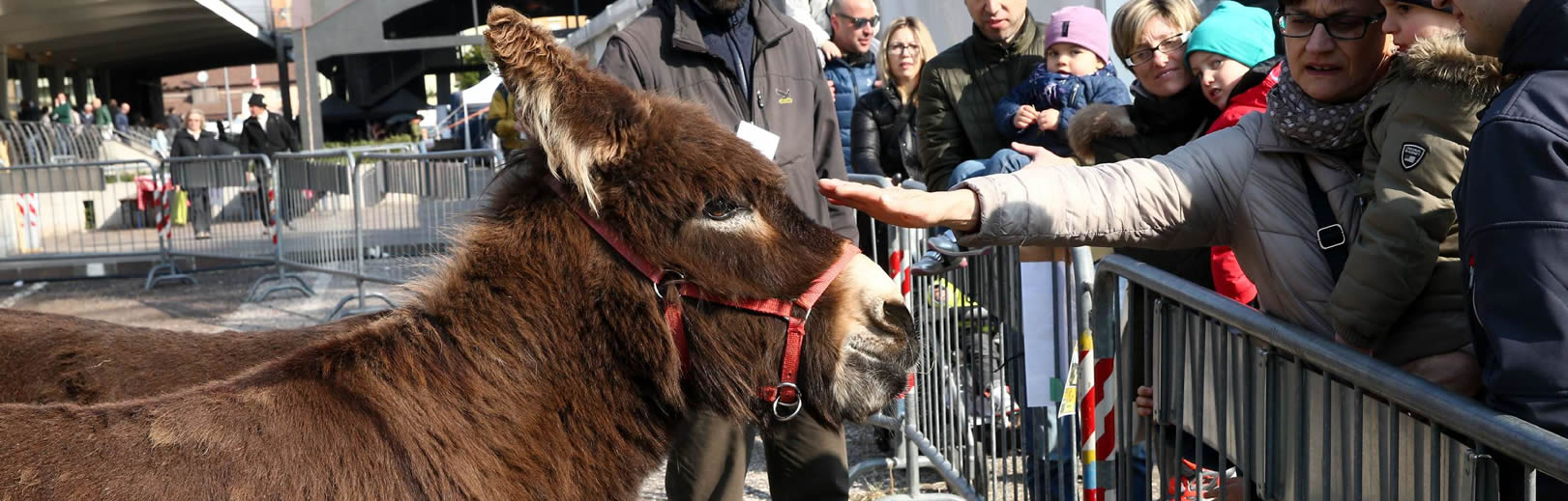 Mostra dell'Agricoltura Trento Expo
