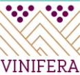 VINIFERA 2019