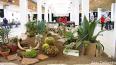 EUROCACTUS 2020